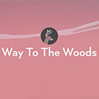 Дорога до лісу / Way to the Woods [PC] [2019]