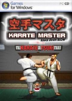 Майстер карате: Нокаутуючий удар / Karate Master: Knock Down Blow [PC] [2011]