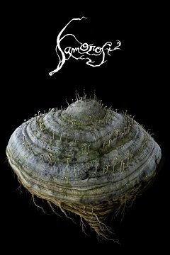 Саморость 2 / Samorost 2 / Samorost 2. Звезданутое путешествие [PC] [2005]