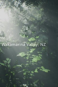 Долина Вакамаріна, Нова Зеландія / Wakamarina Valley, New Zealand [PC] [2020]