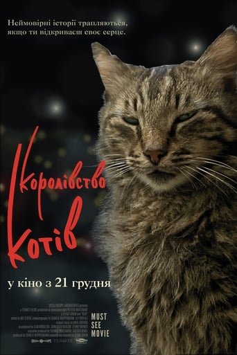 Королівство котів / Kedi [ 2016 ]