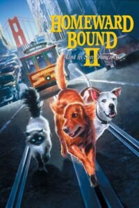 Дорога додому 2: Загублені в Сан-Франциско / Homeward Bound II: Lost in San Francisco [ 1996 ]