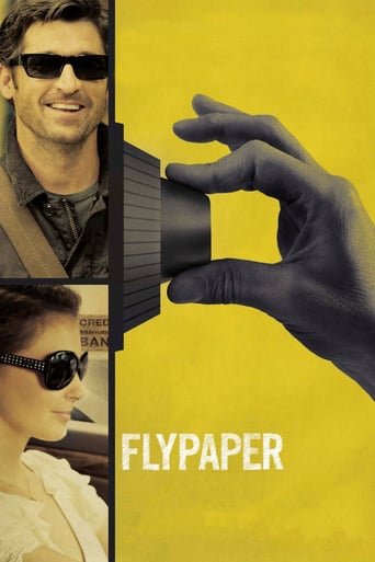 Липучка / Flypaper [ 2011 ]