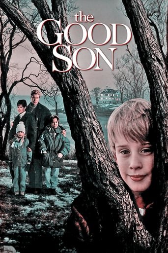 Хороший син / The Good Son [ 1993 ]